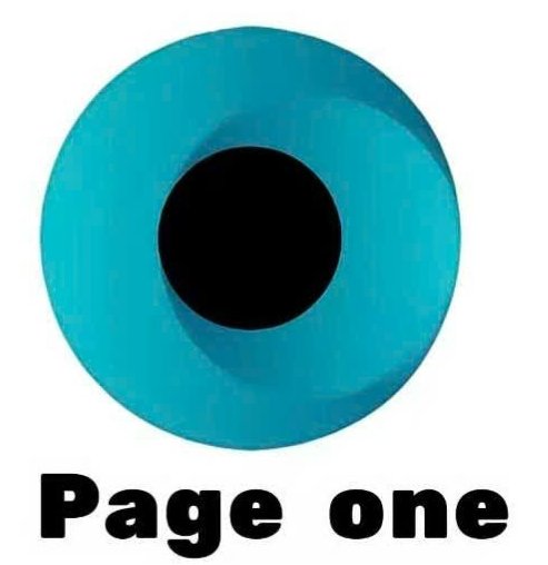 Công ty TNHH công nghệ PAGE ONE VIỆT NAM